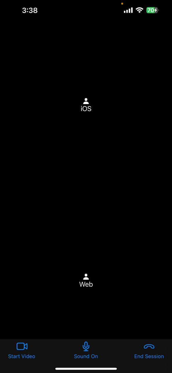Default session view